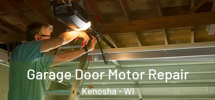  Garage Door Motor Repair Kenosha - WI