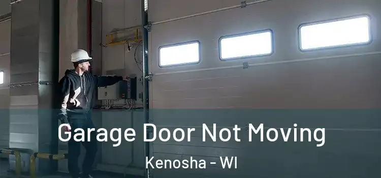  Garage Door Not Moving Kenosha - WI
