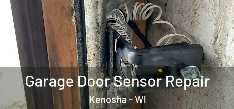 Garage Door Sensor Repair Kenosha - WI