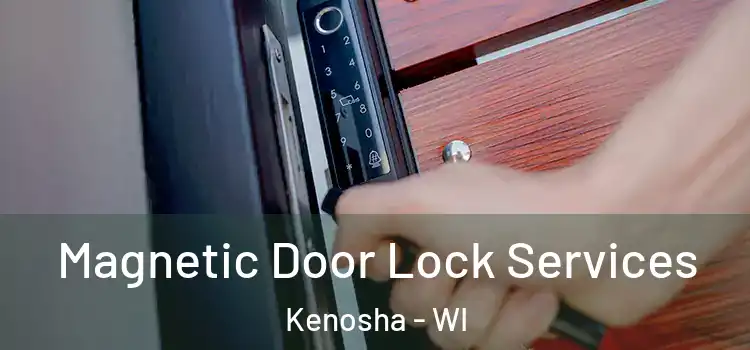 Magnetic Door Lock Services Kenosha - WI